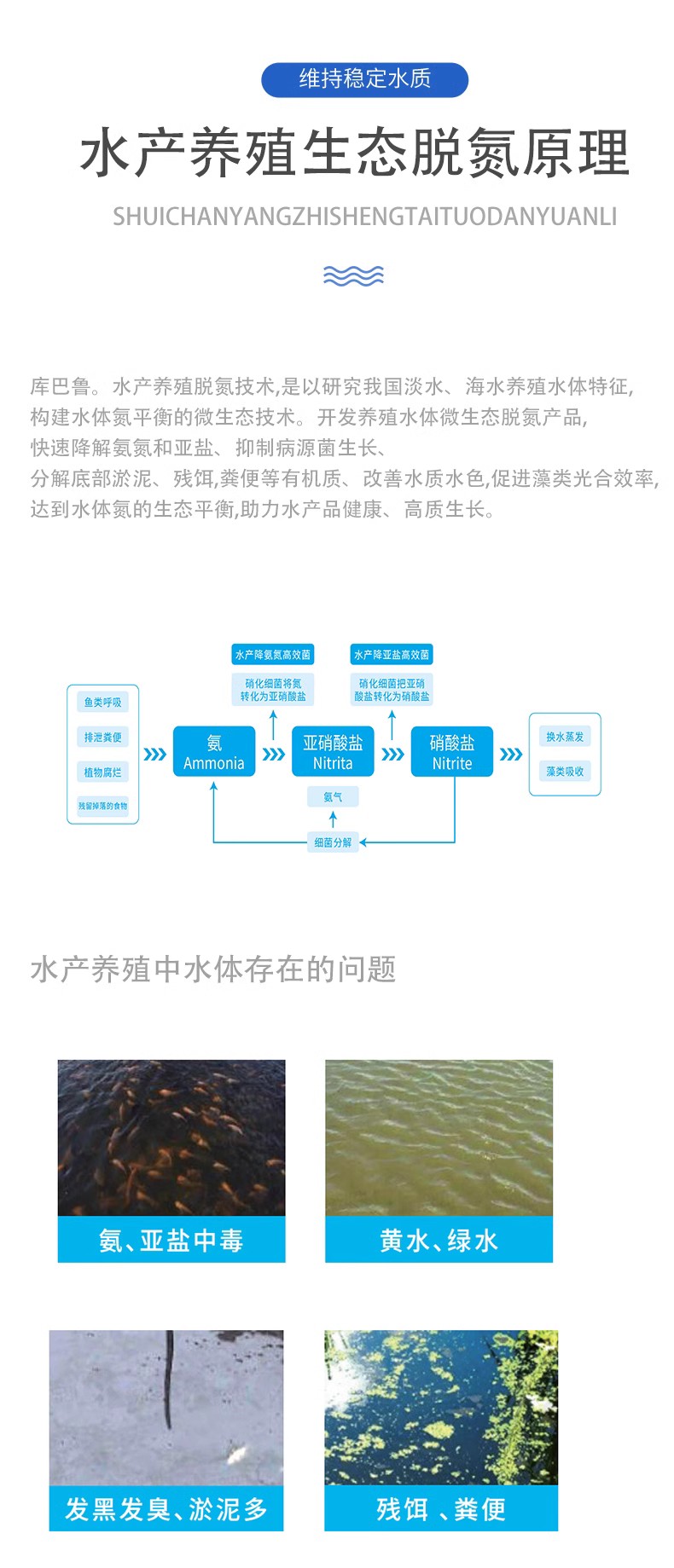 水產養殖3.jpg