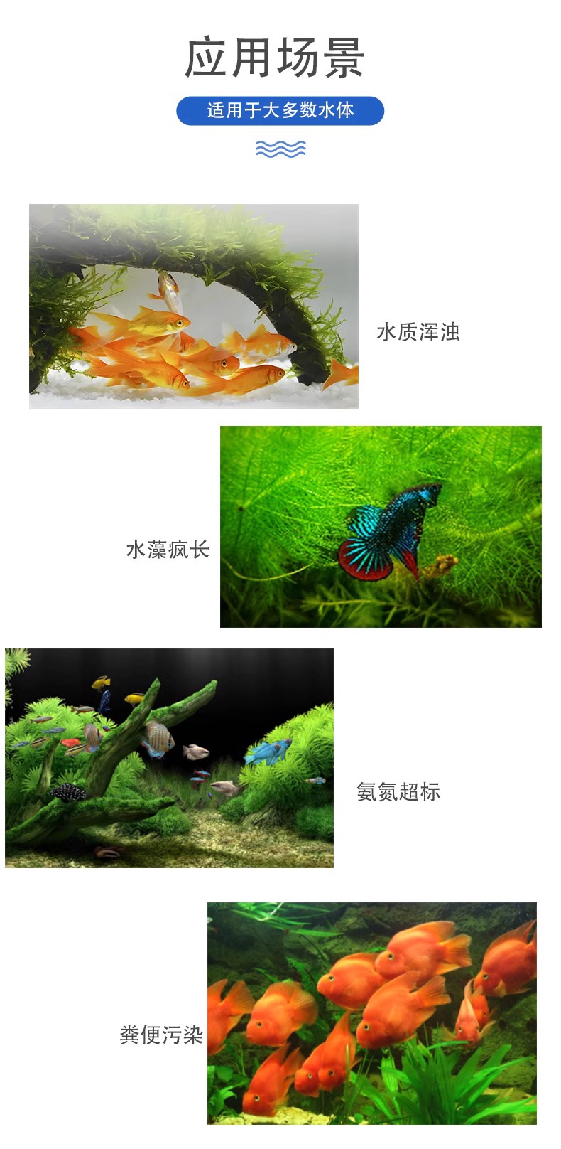 水產養殖4.jpg