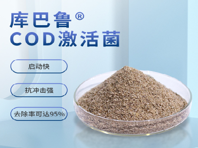 COD提標，不改變工藝，生化系統如何維穩(wěn)